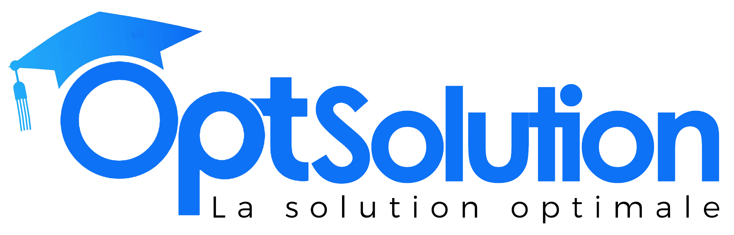 OptSolution